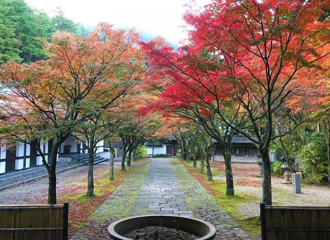 四季折々の自然が彩る撮影スポット