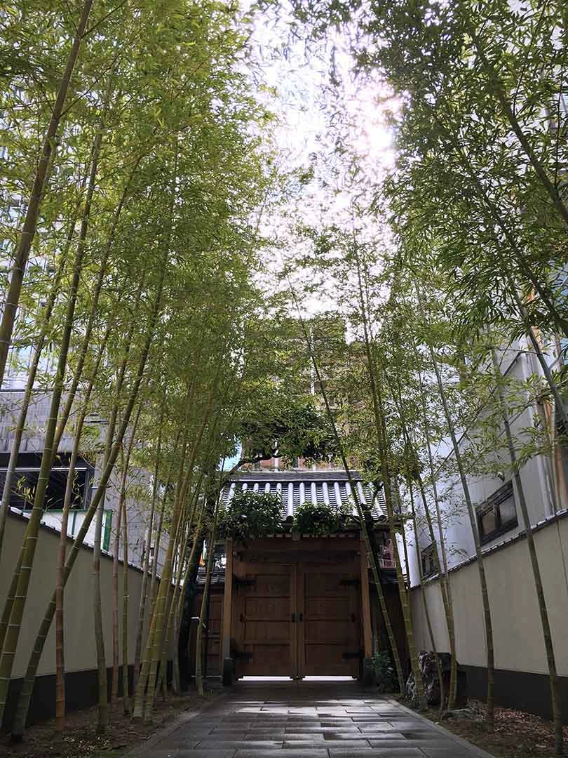 歴史が息づくロケーション抜群の寺