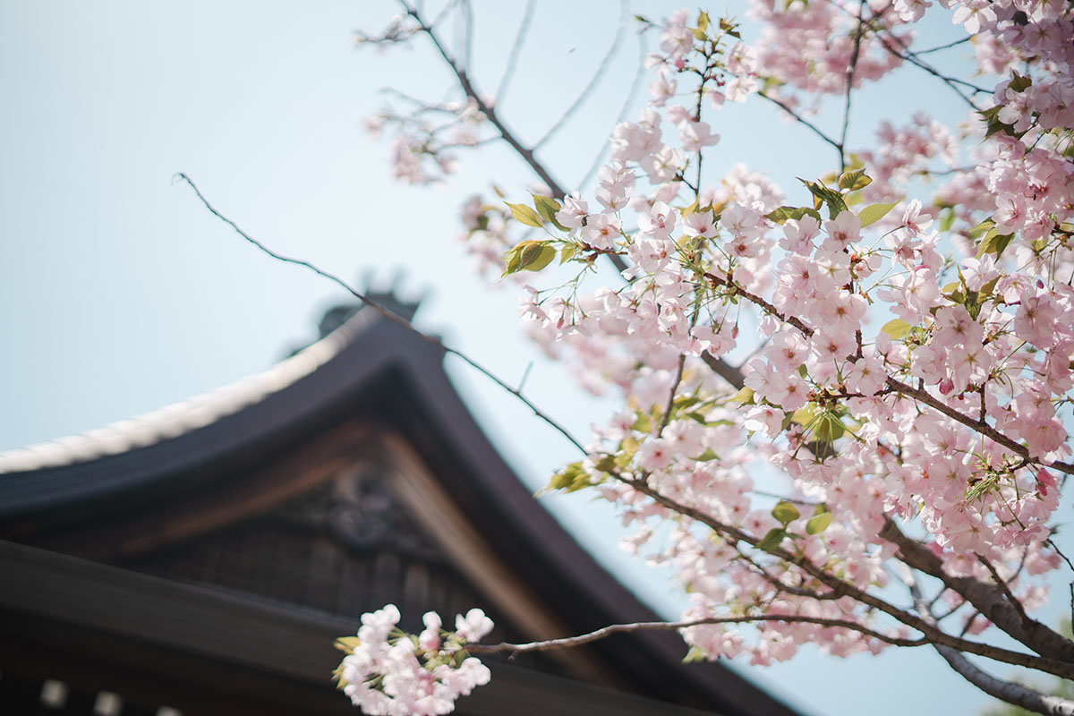 清見原神社 サムネイル4