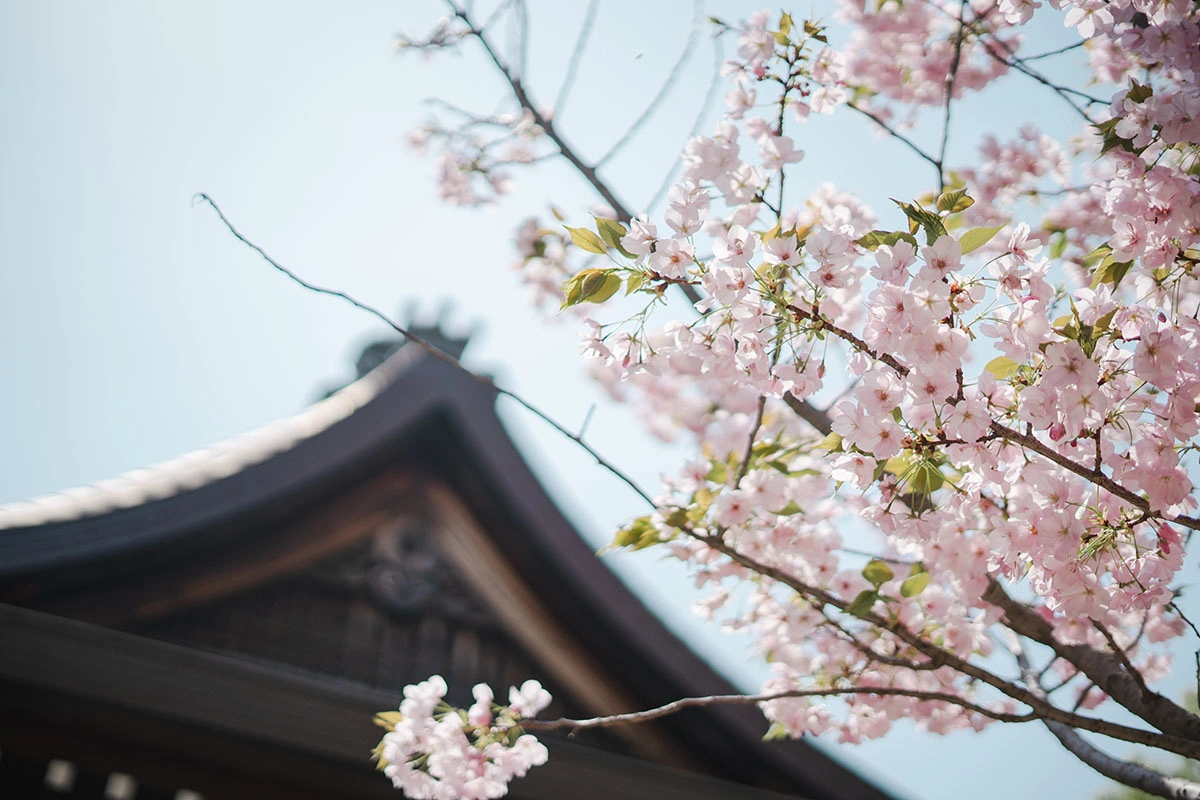 清見原神社のサブ画像4