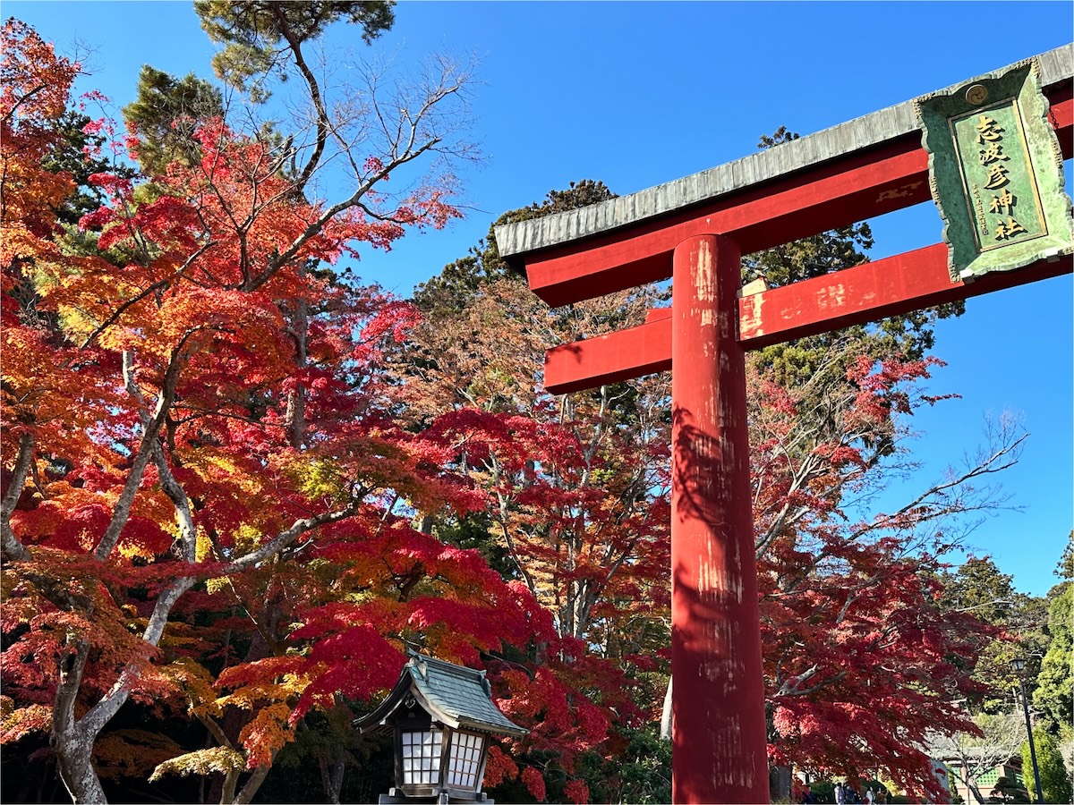 鹽竈神社のサブ画像2