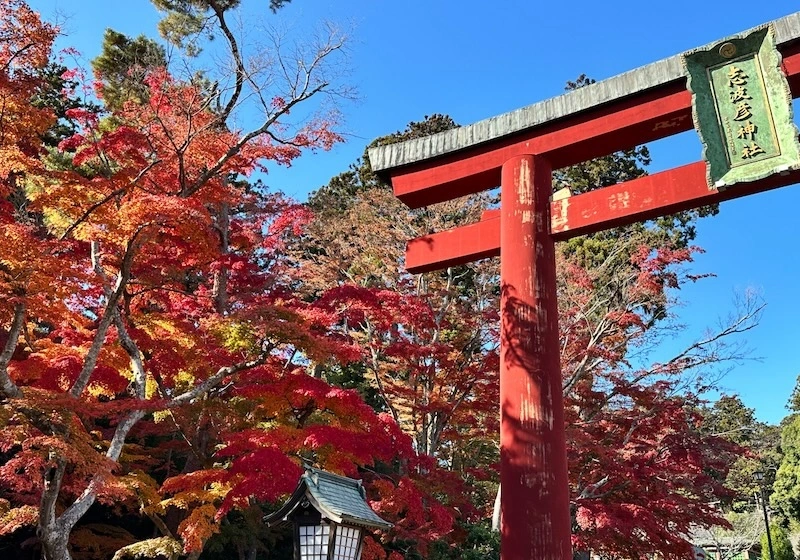 平安の歴史を刻む由緒ある神社