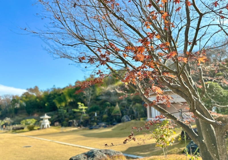 広大な敷地が魅せる写真の名所