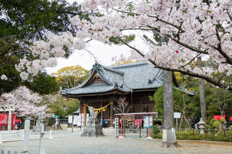 赤鳥居と桜が彩る写真の名所