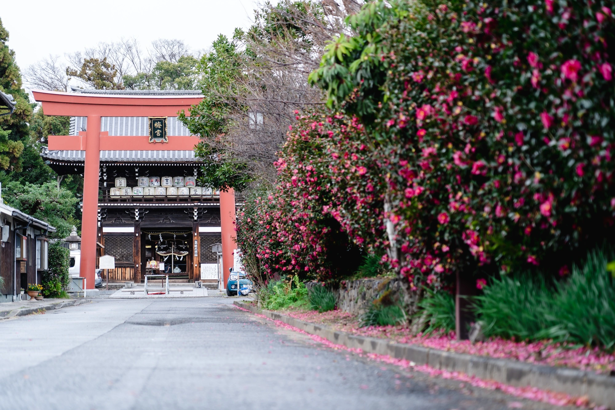四季折々の花が美しい庭園
