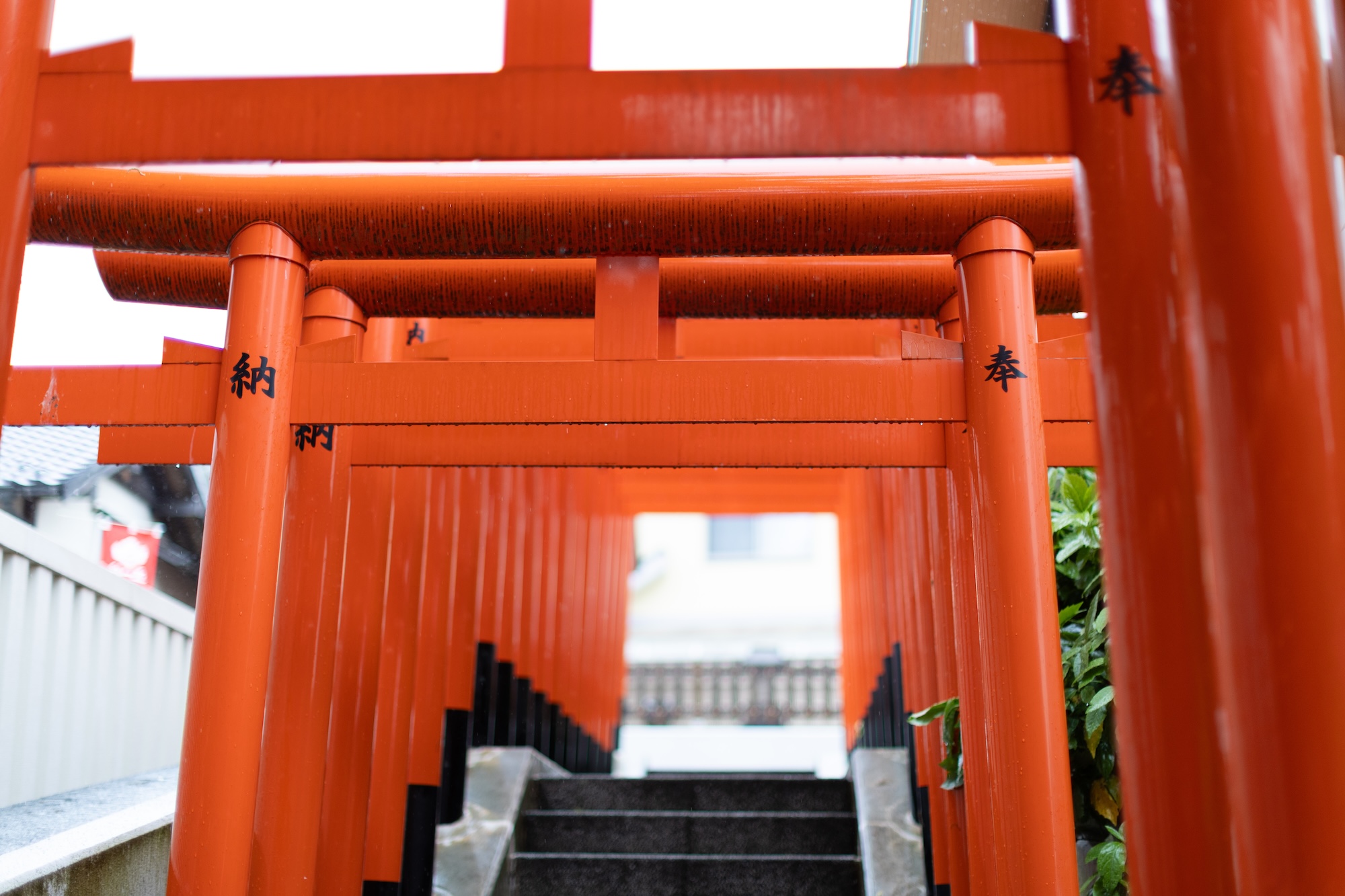 神鳥前川神社 サムネイル3