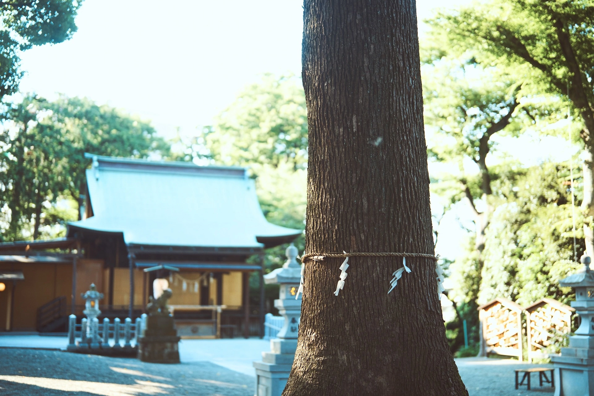 縁結び・子育てのご利益