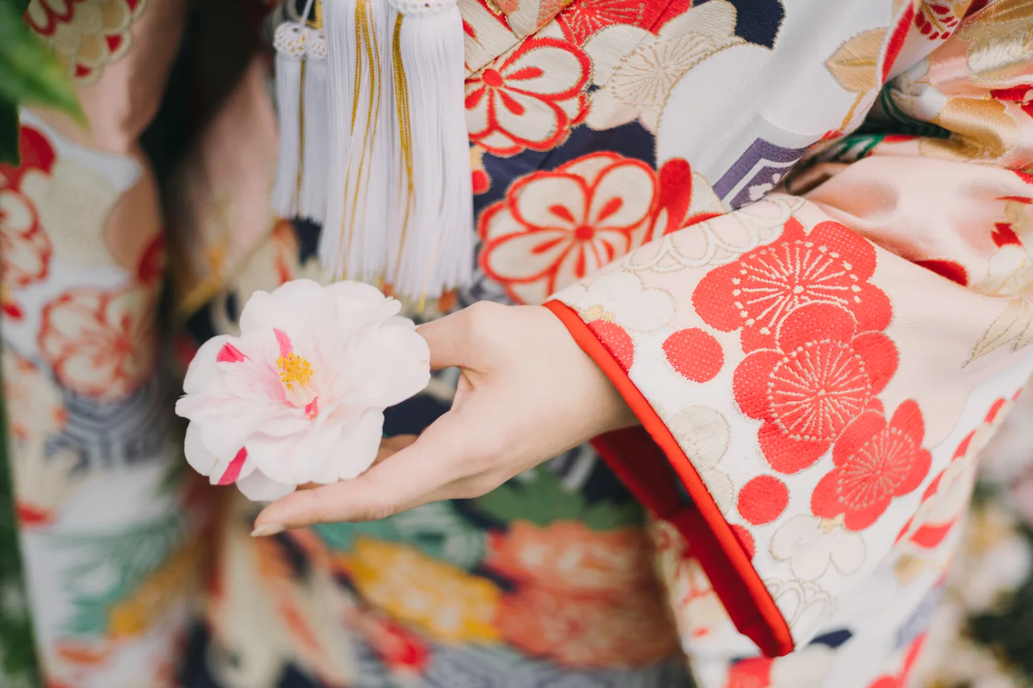 背景写真（神社や春の景色）