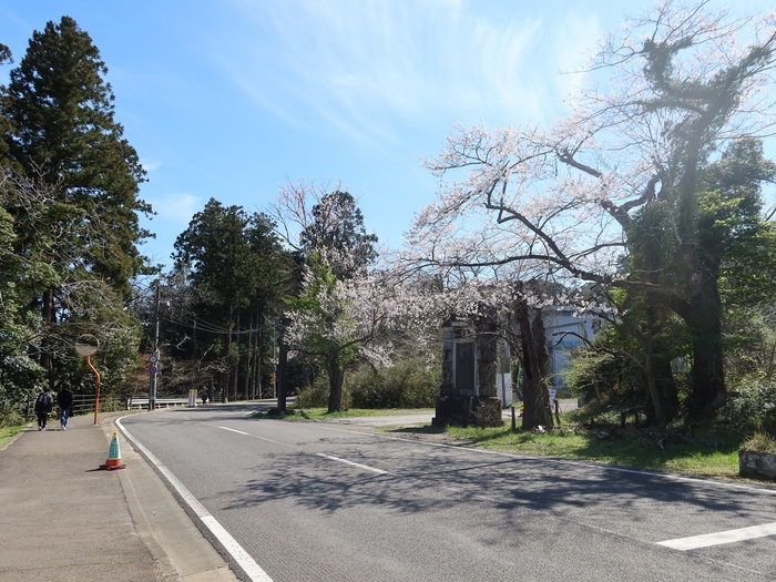 青葉山公園の撮影スポット1