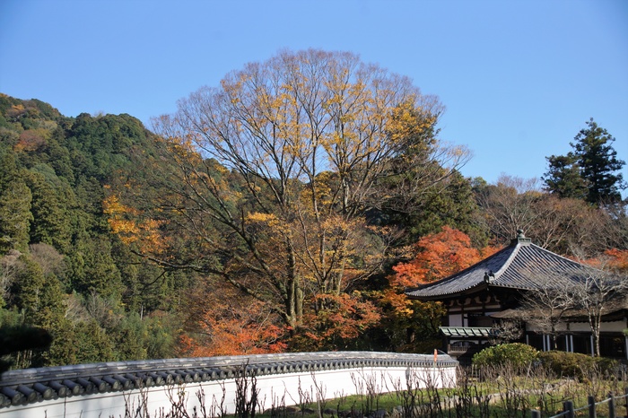 長谷寺の撮影スポット5