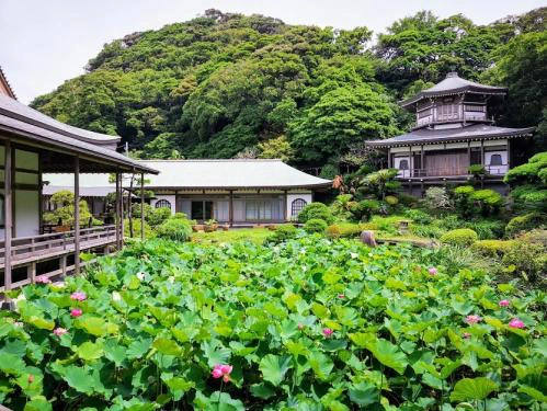 光明寺の撮影スポット3